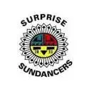 Surprisesundancers.org Favicon