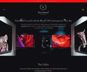 Surroundartgallery.com(Surround Art Gallery) Screenshot