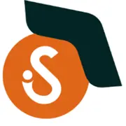 Suvarnaconsultants.com Favicon