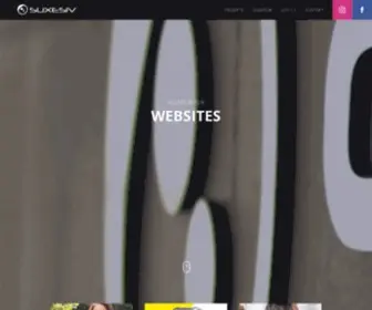 Suxesiv.ch(Agentur für E) Screenshot