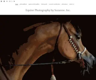 Suzannesphoto.com(EQUINE PHOTOGRAPHY by SUZANNE) Screenshot