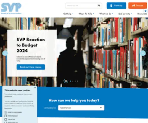SVP.ie(SVP) Screenshot