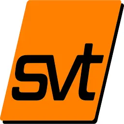 SVT-Dienstleistung.de Logo