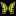 Swallowtailgardenseeds.com Favicon