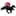 Sweetbeauhorses.org Favicon