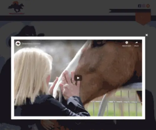 Sweetbeauhorses.org(Our mission at Sweetbeau Horses) Screenshot