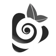 Sweetpatapez.cl Favicon