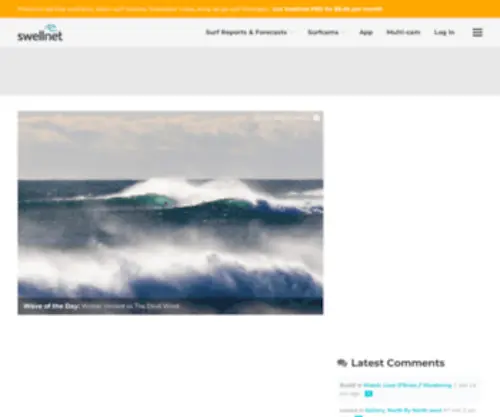 Swellnet.com.au(Swellnet) Screenshot