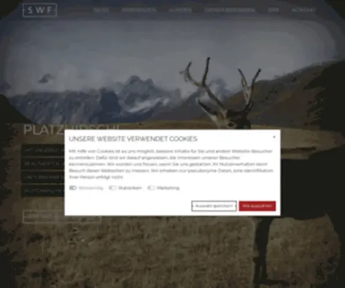 SWF.ch(Alle Infos über die Swiss Web Factory) Screenshot