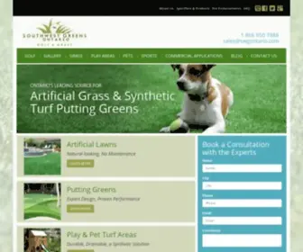 Swgontario.com(Synthetic Grass & Artificial Turf Solutions in Toronto) Screenshot