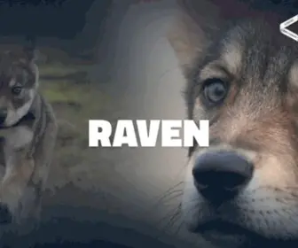 SWH-Raven.nl(Saarloos Wolfdog) Screenshot