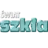Swiat-SZkla.pl Logo