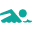 Swimmirror.com Logo
