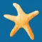 Swimvacation.com Favicon