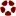 Swinecast.com Favicon