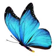 Swingerclub-Butterfly.com Logo