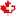 Swisscanadianchamber.com Favicon