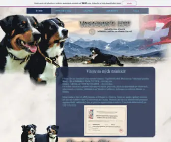 Swissdog.cz(ÚVOD) Screenshot