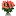 Swissflowers.ch Favicon