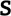 Swisstrotter.ch Favicon