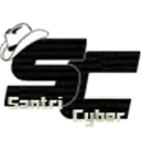 Syandriz.com Logo