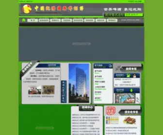 Sybeer.org(中欧体育（中国）网) Screenshot