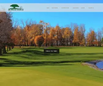 Sycamorespringsgolf.com(Findlay, Ohio Golf) Screenshot