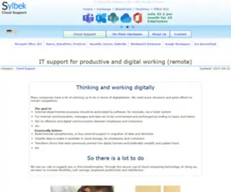 SYlbek.eu(IT support for productive and digital working (remote)) Screenshot