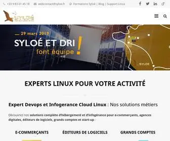Syloe.com(Syloé) Screenshot