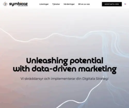 SYmbiooz.com(Datadriven Digital Marknadsföring) Screenshot