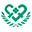 SYMHN.cn Favicon