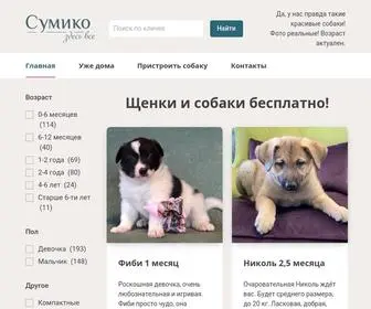Symiko.ru(Взять щенка или взрослую собаку бесплатно в добрые руки) Screenshot