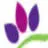 SYmpathyflowers.com Logo