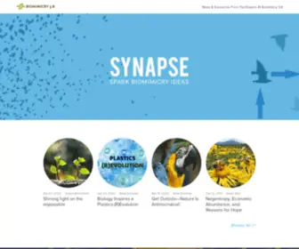 Synapse.bio(Biomimicry 3.8 Blog) Screenshot