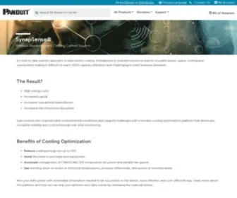 Synapsense.com(Cooling Optimization) Screenshot