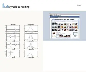 SYNclab.com(Synclab Consulting LLC) Screenshot