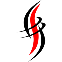 Synectix.it Logo