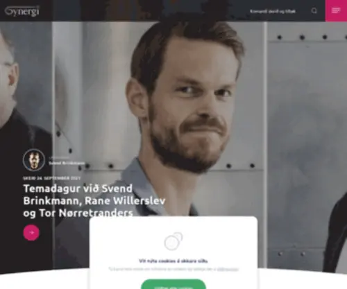 Synergi.fo(Forsíða) Screenshot