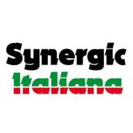 Synergicitaliana.com Favicon