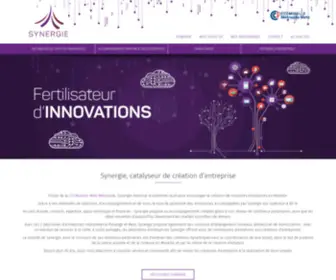 Synergie-Ceei.com(Pépinière d'entreprises Synergie CEEI en Moselle) Screenshot