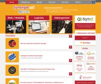 Synergie-EST.fr(Synergie Est) Screenshot