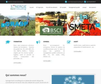 Synergieconsulting.net(Synergie) Screenshot