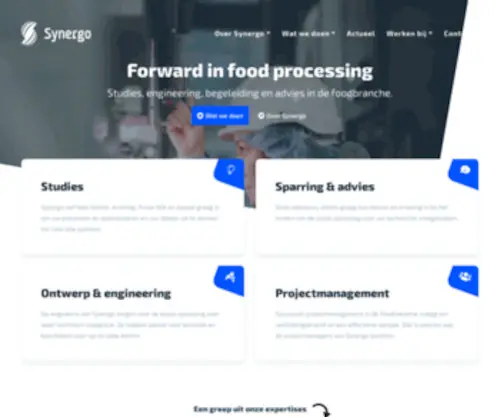 Synergo.com(Home) Screenshot