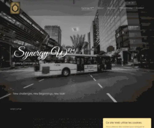 Synergy-W.com(Synergy W ™) Screenshot