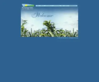Synergyag.com(Synergy, LLC) Screenshot