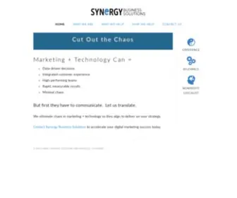 Synergybiz.com(Synergy Business Solutions) Screenshot