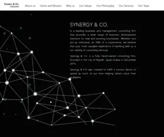 Synergyco.net(Synergy& co) Screenshot