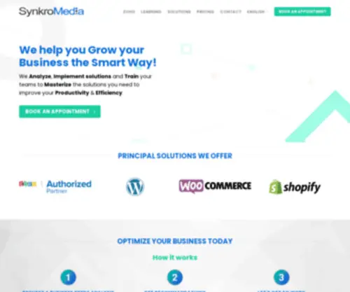 SYNkromedia.com(Innovative Marketing Solutions to Grow your Business) Screenshot