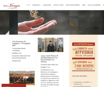 Synodoiporia.gr(Αρχική Σελίδα) Screenshot