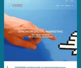 Synomon.ch(Synomon Digital Marketing) Screenshot